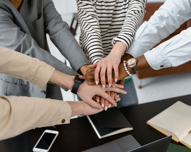 EQ Development for Leaders and Teams